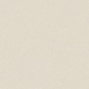 Textured Saxony Sprig Beige/Tan Carpet