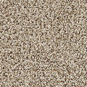 Textured Saxony Cliffside Beige/Tan Carpet