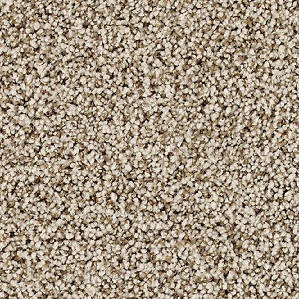 Textured Saxony Cliffside Beige/Tan Carpet