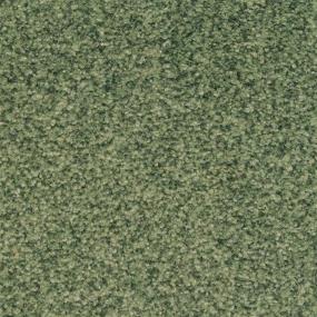 Casual Texture Hunt Club Green Carpet