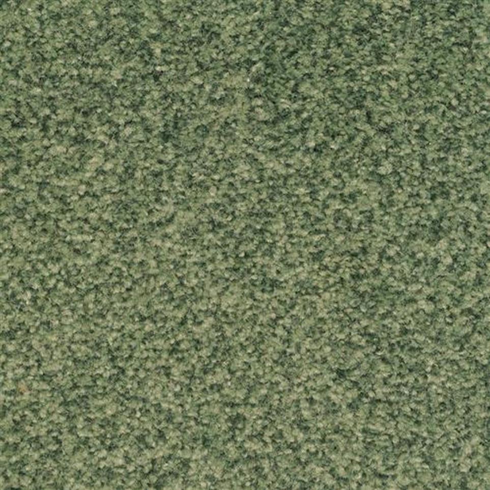 Casual Texture Hunt Club Green Carpet