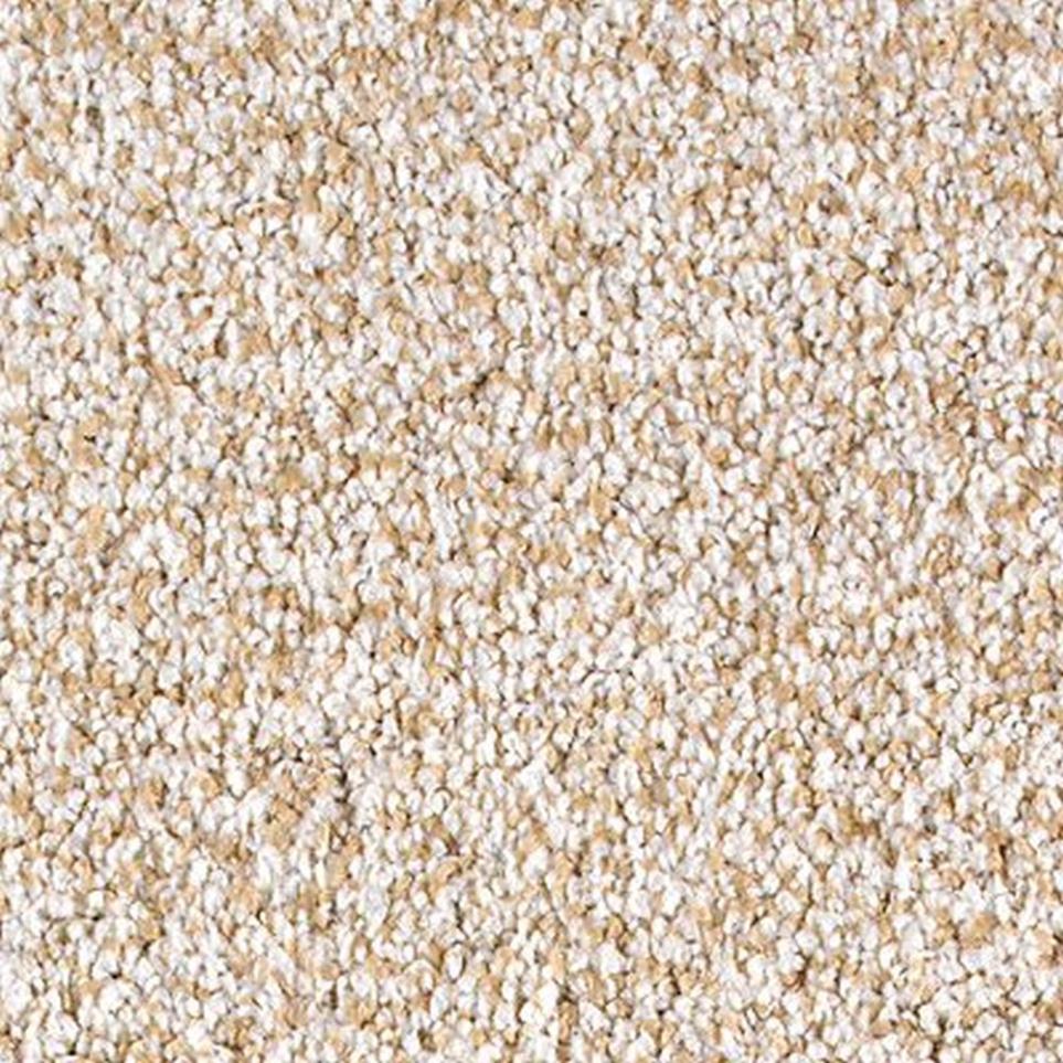 Textured Saxony Serenity Beige/Tan Carpet