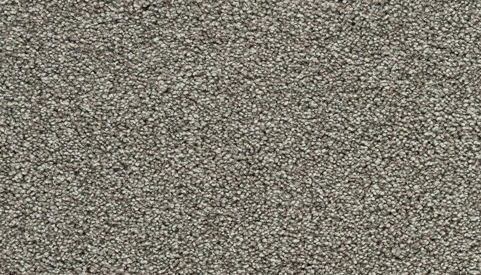 Textured Saxony Pier Brown Carpet