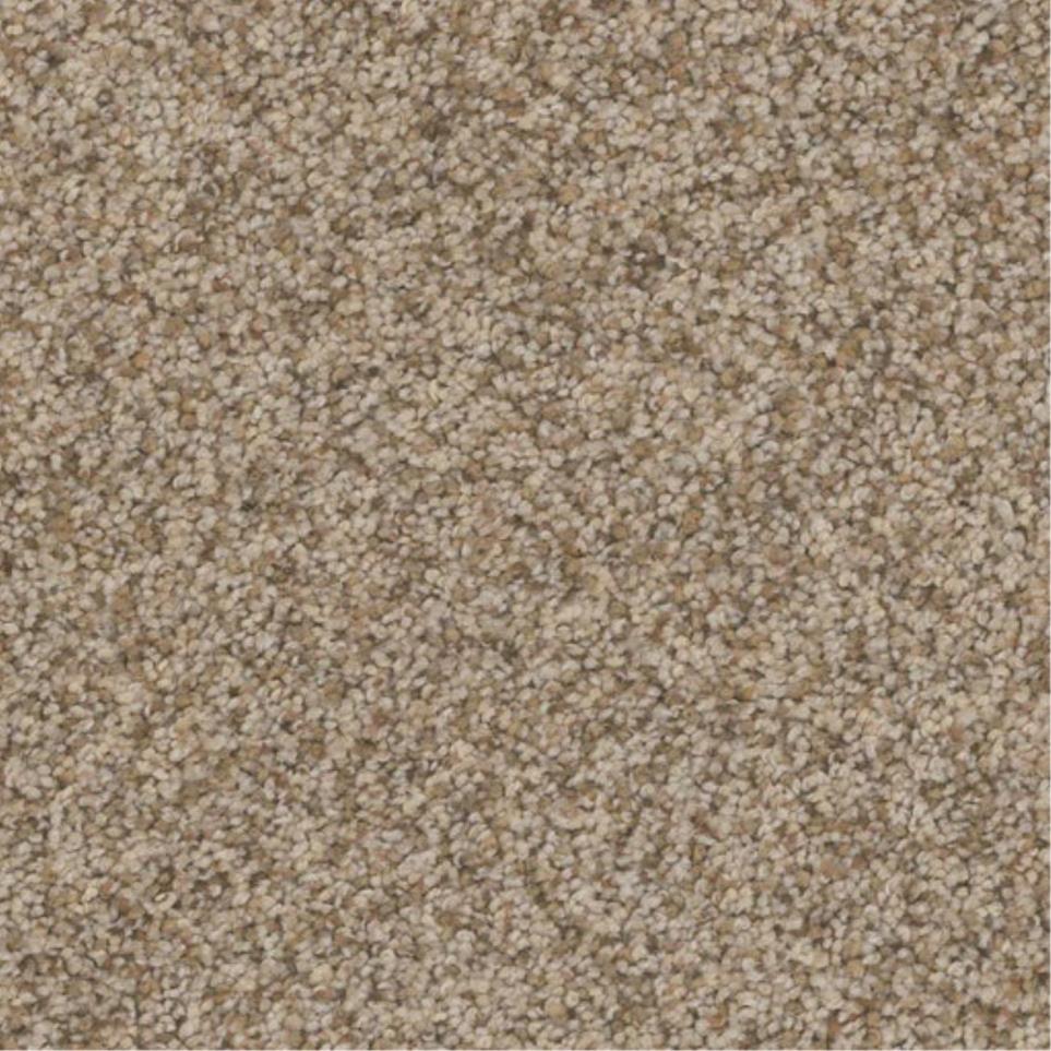 Textured Saxony Villa Brown Carpet