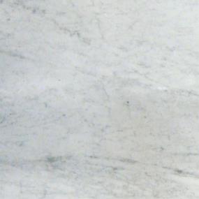 Tile Carrara White Honed White Tile