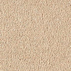 Textured Saxony Bashful Beige/Tan Carpet