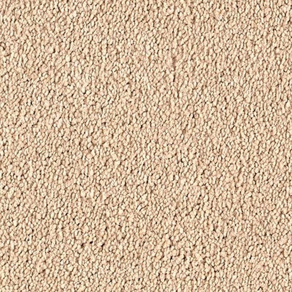 Textured Saxony Bashful Beige/Tan Carpet