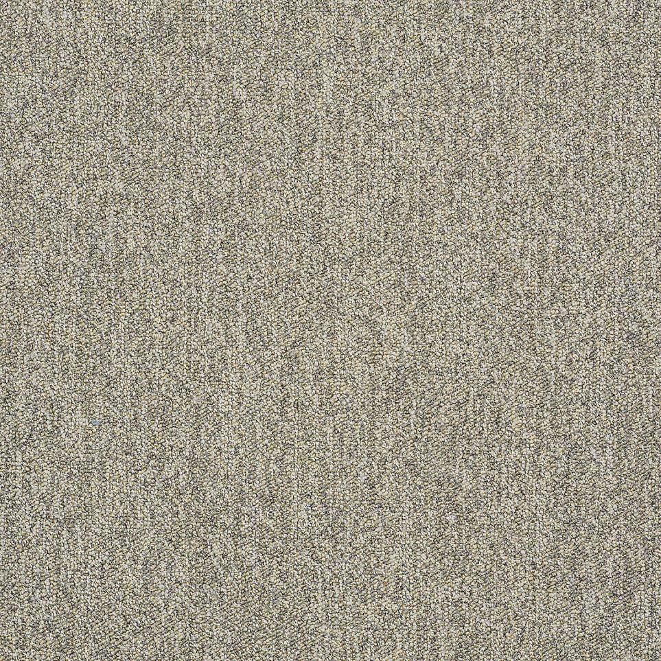 Multi-Level Loop Shark Fin Gray Carpet