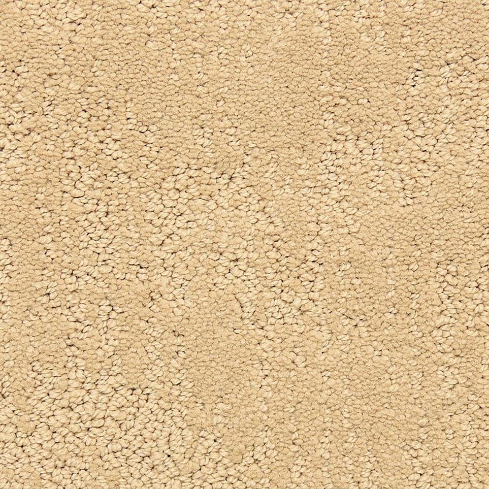 Pattern Veiled Beige/Tan Carpet