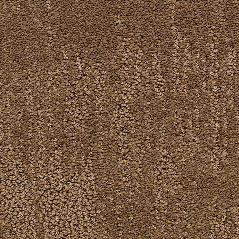 Pattern Brevity Brown Carpet