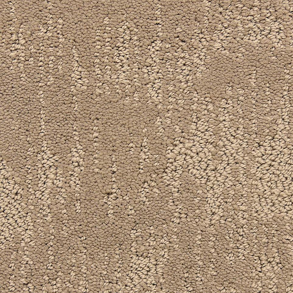 Pattern Weathered Brown Carpet