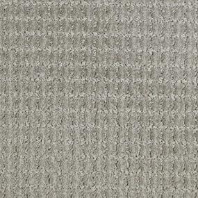Pattern Raft Gray Carpet