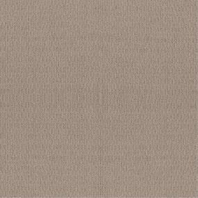 Pattern Bird House Beige/Tan Carpet