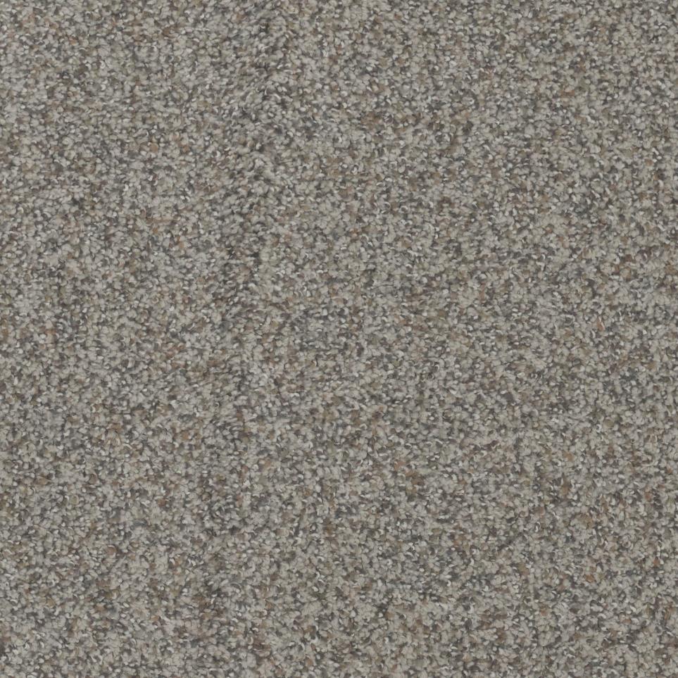 Textured Saxony Enchanted Beige/Tan Carpet