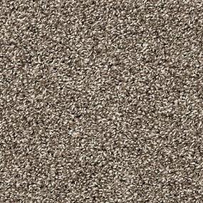 Texture Elegant Gray Carpet