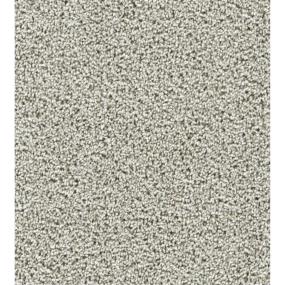 Textured Saxony Class Act Gray Carpet