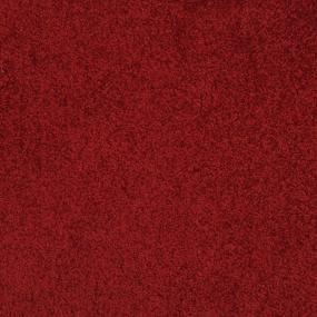 Plush Saxony Mural Red Carpet