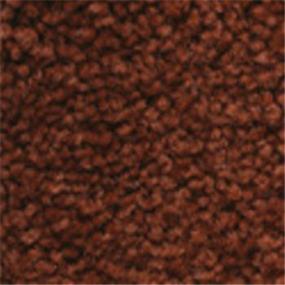 Plush Saxony Desert Paintbrush Red Carpet