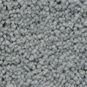 Plush Monteray Gray Carpet