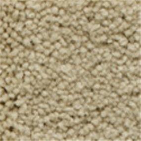 Plush Butte Beige/Tan Carpet