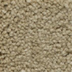 Plush Saxony Amaretto Beige/Tan Carpet