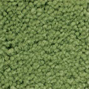 Plush Saxony Playground Green Carpet