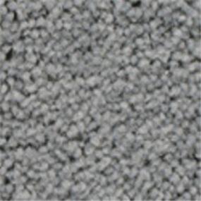 Plush Saxony Daytona Gray Carpet