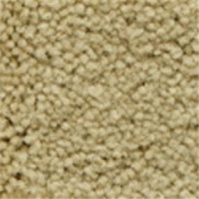 Plush Saxony Sanibel Beige/Tan Carpet