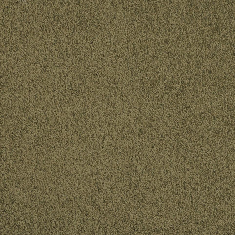 Plush Saxony Adirondack Green Carpet