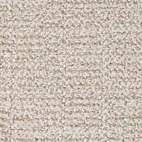 Pattern Bronceada Beige/Tan Carpet