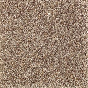 Texture Mountain Pass Beige/Tan Carpet