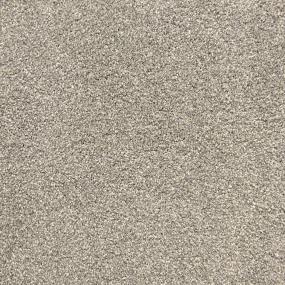 Textured Saxony Dove Beige/Tan Carpet