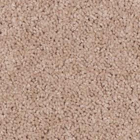 Texture Fabric Beige/Tan Carpet