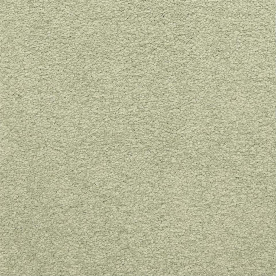 Casual Texture Valley Green Carpet