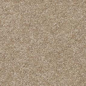 Texture Calla Beige/Tan Carpet