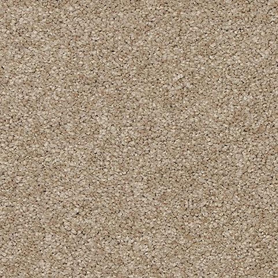 Texture Calla Beige/Tan Carpet
