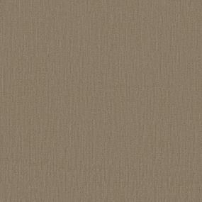 Pattern Sandstone Beige/Tan Carpet