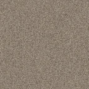 Textured Saxony Treasure Beige/Tan Carpet
