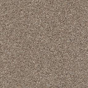 Textured Saxony Treasure Beige/Tan Carpet