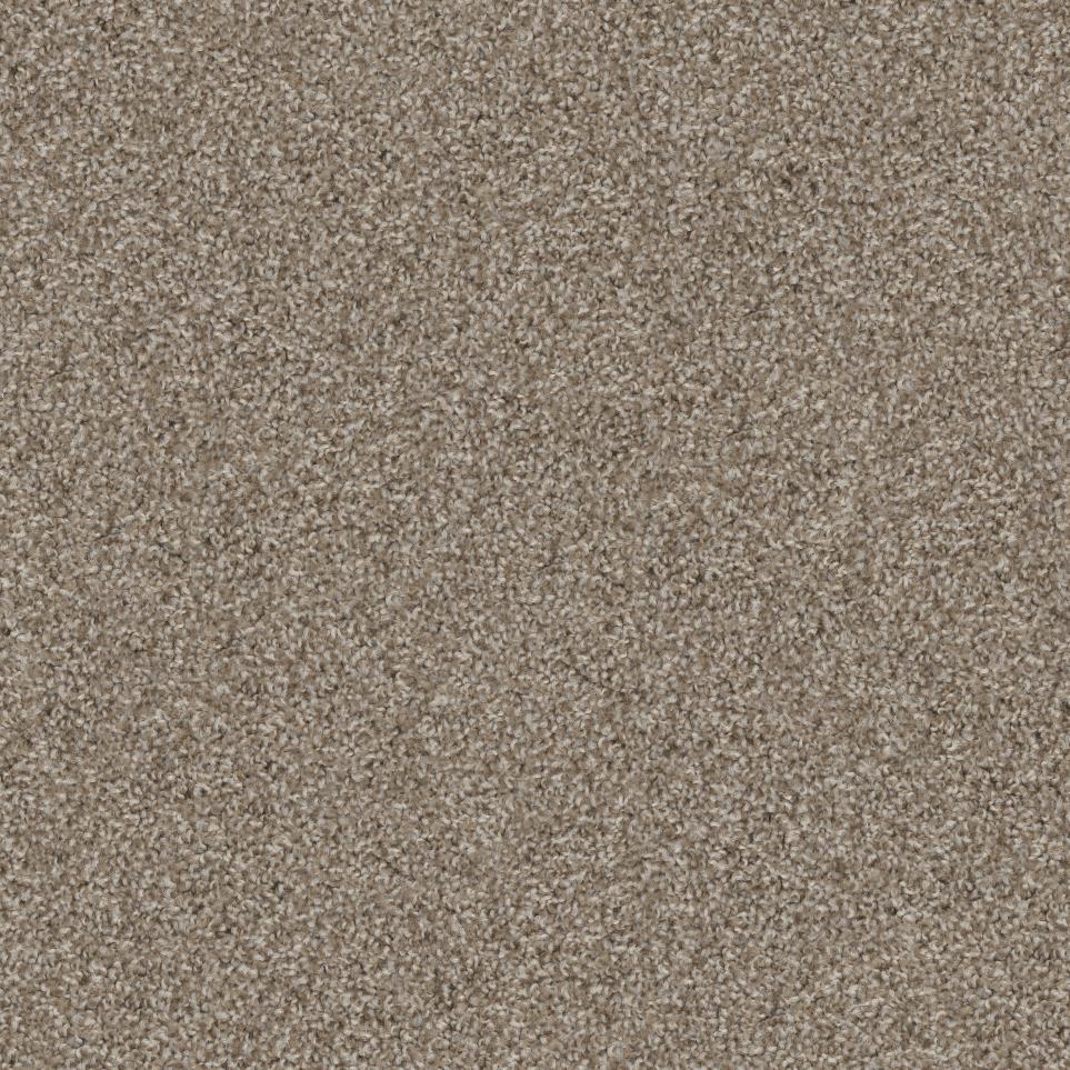 Texture Treasure Beige/Tan Carpet