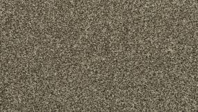 Texture Pebble Path Beige/Tan Carpet