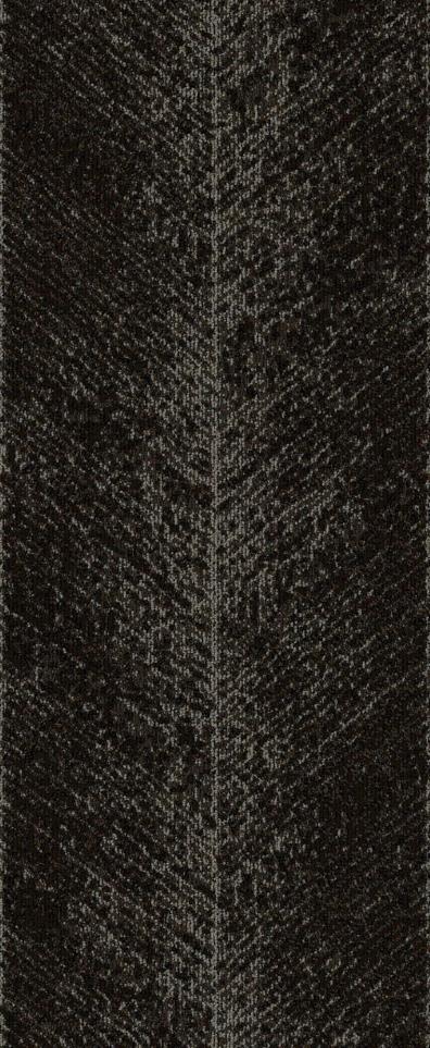 Pattern Passage Black Carpet