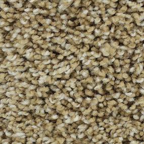 Textured Saxony Warm Sand Beige/Tan Carpet