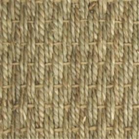 Pattern Seagrass Beige/Tan Carpet