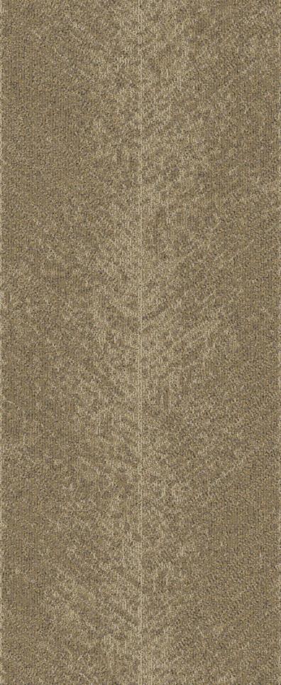 Pattern Adventure Brown Carpet