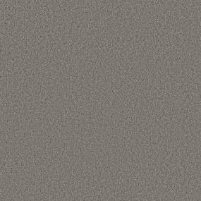 Textured Saxony Pony Express Beige/Tan Carpet