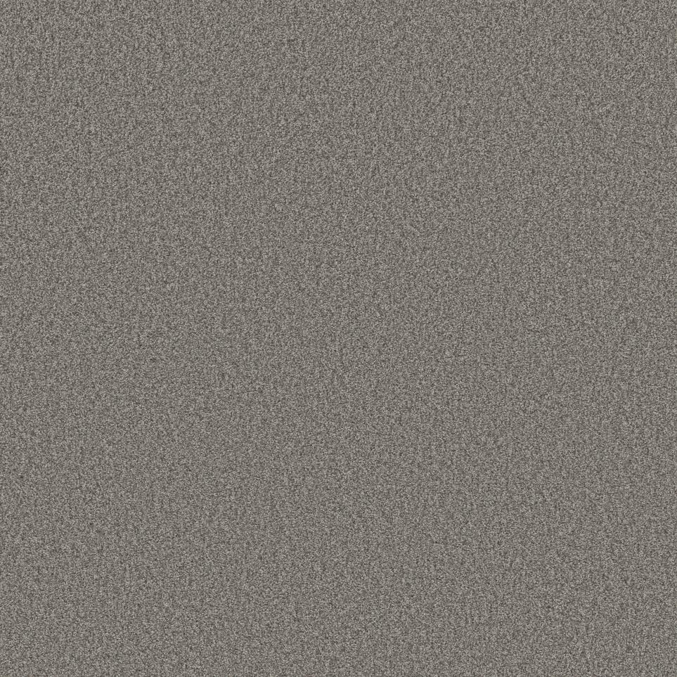 Textured Saxony Pony Express Beige/Tan Carpet