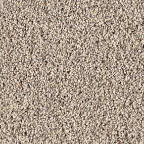 Textured Saxony Opulence Beige/Tan Carpet