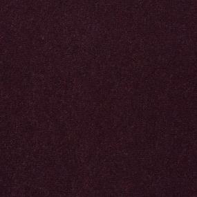 Cut Pile Orchid Purple Carpet