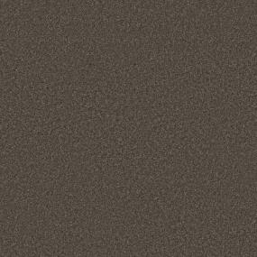 Casual Texture Dark Truffle Brown Carpet